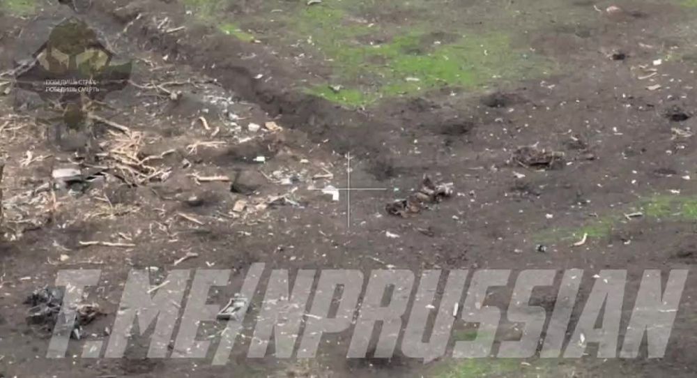 ���� ������ �������� ����� ���������