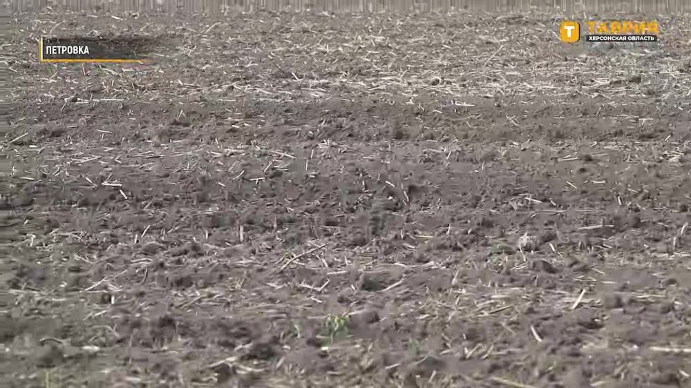 � ���������� ������ ������� �������� ������ ������������� � ����