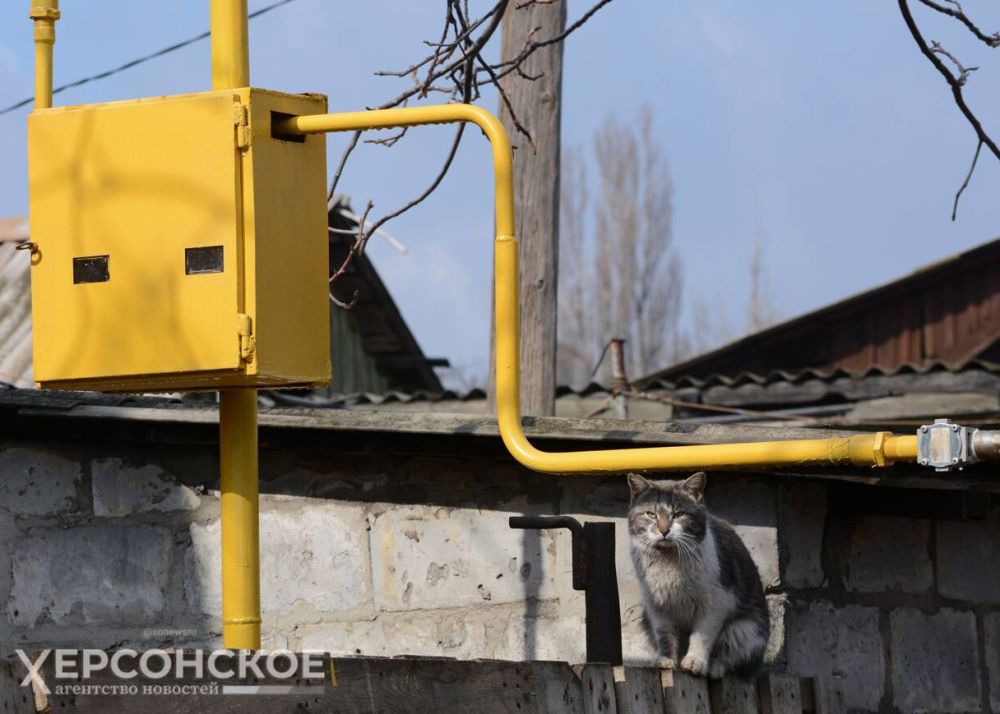 ������� ��-�� �������� ��� ����������� ���������� ���������� ��������������������� ������� "�������"