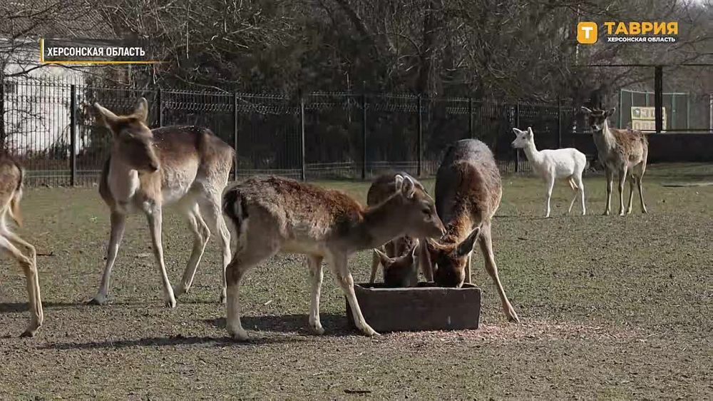 � ���������� ������� �������� ������ � ����� �������� ������ ������������ ���������