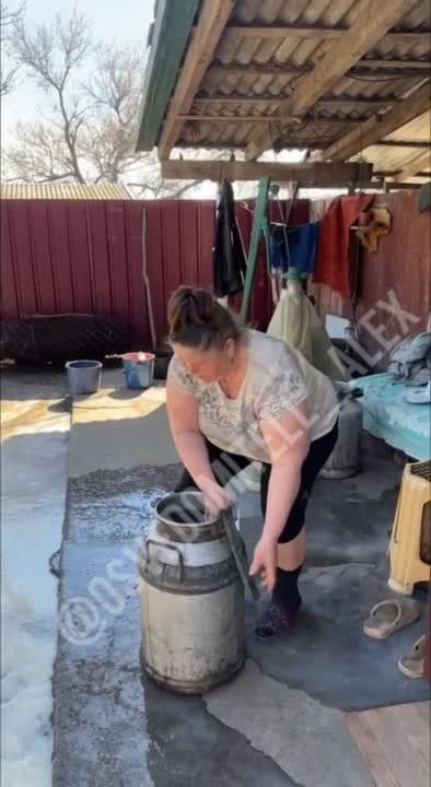 ����� ���������. �����������