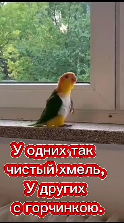 ������� ��������� ����� ���. ������ ���, ��� �������