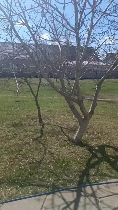 � ������� ����������� � �� ������ �������