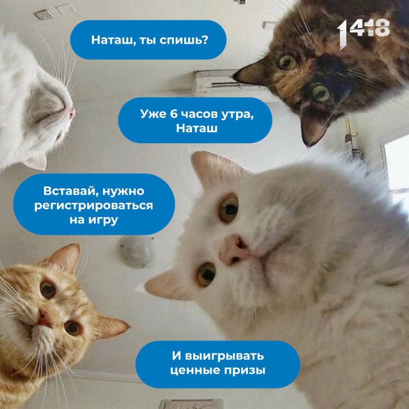 ���, ���, ����������� �������, ���������� �������