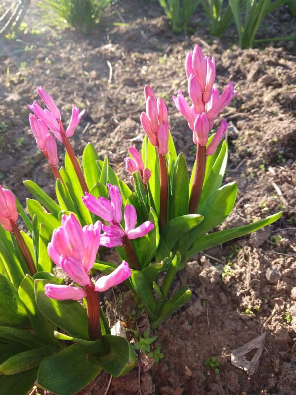 ���� � �������� �������� ������ �� ���������� �������������