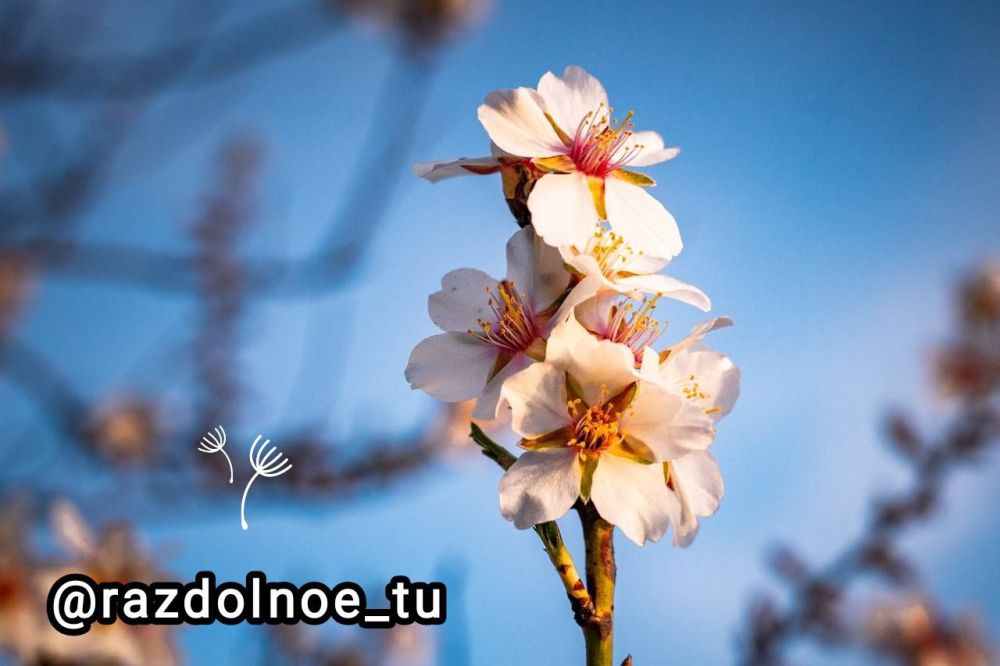 ���� ������ ������,. ���� ������ ������