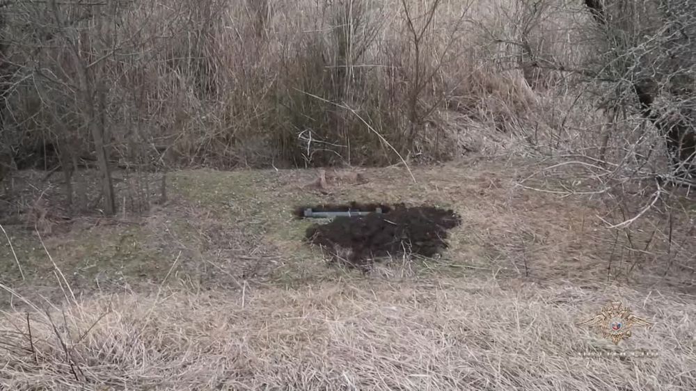 4 АПРЕЛЯ. «НОВАЯ ТЕРРИТОРИЯ» ОДНОЙ СТРОКОЙ