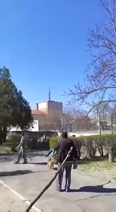 ��� �� ���������� ���������������� �������� ������� ��������� ������������ ������� ������