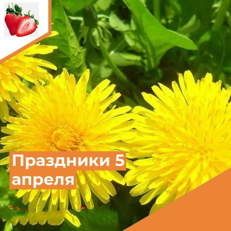 ��������� 5 ������. ������������� ���� ����