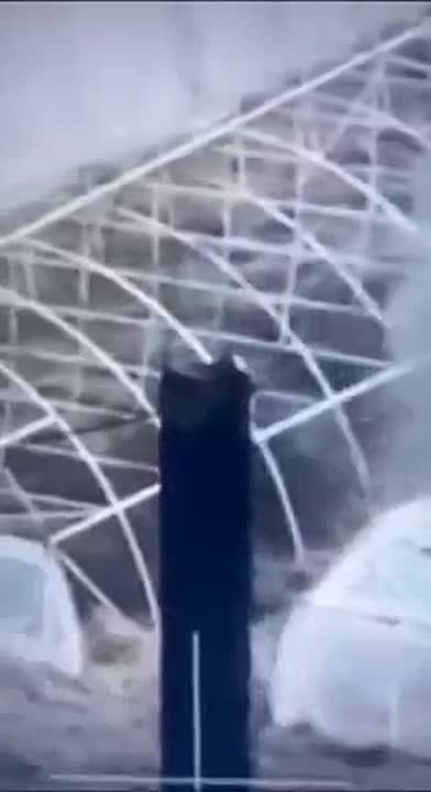 ��� ������: ��� �����:. ������� �����! ����� ����� [������, ���������� �����������] �� �����! � ������ ������� �������� �� ��������� �� ����, ��� ��������������� ��������� �� ��� � � ����