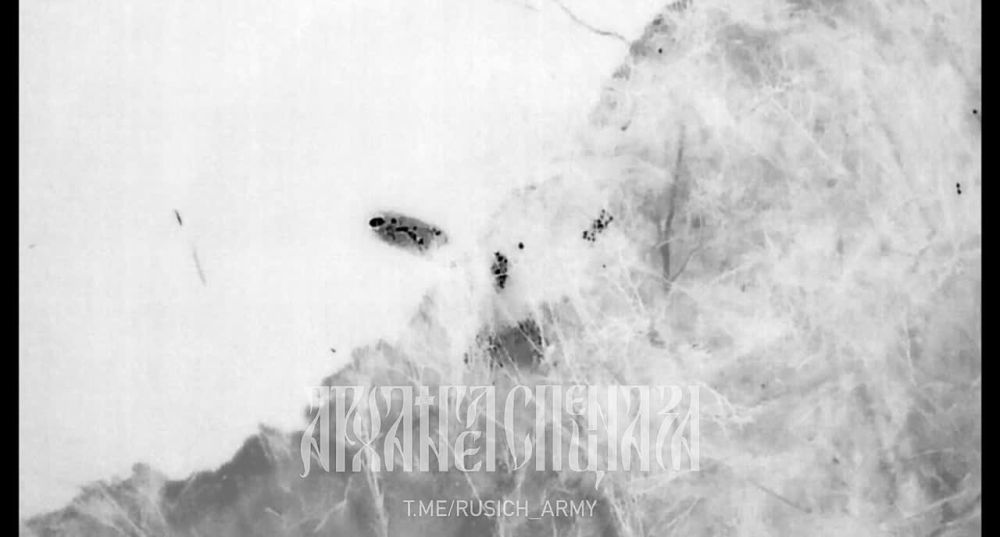 ���������� �����������, �.�. ������