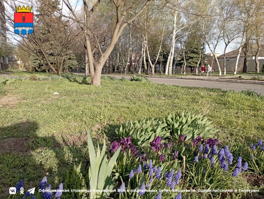 ������ ����, �������!. @VGA_Kakhovka