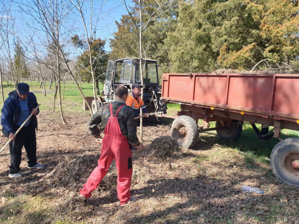 ��������� � �����: ���������� ������������ ����� ������� ���������� ������������ ��� �����