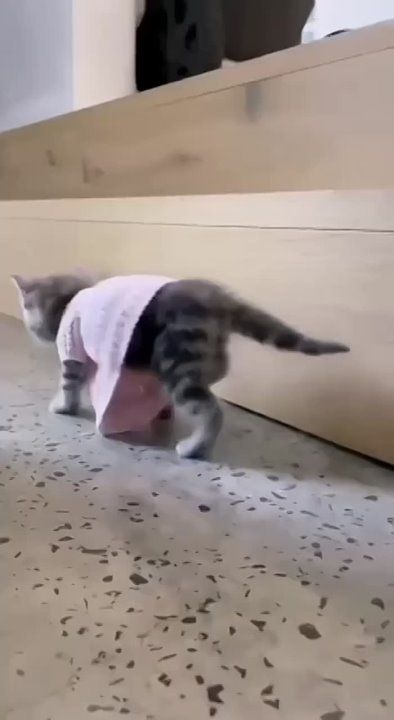 ���, ������� �������� ����� ��������