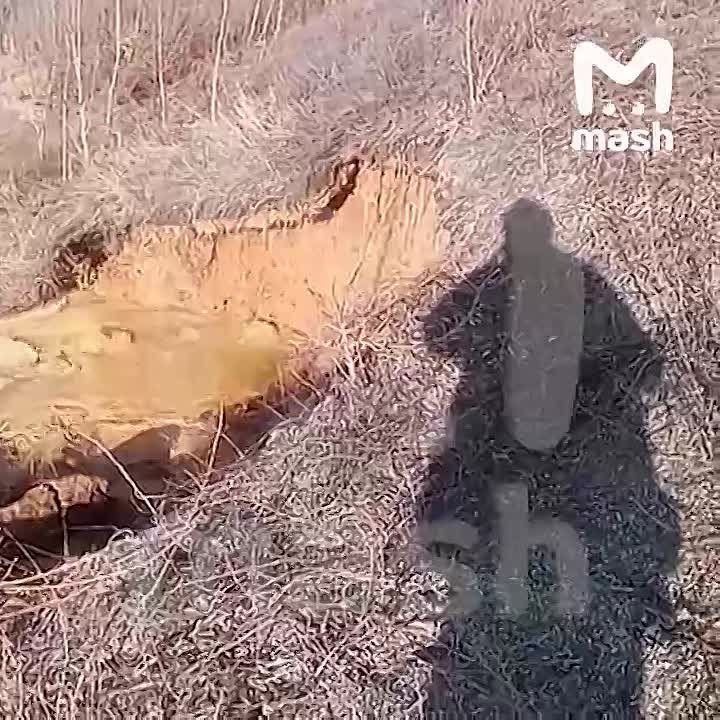 � ���������� ��-�� ������� ����� ����� �������� ������� ��������� �������