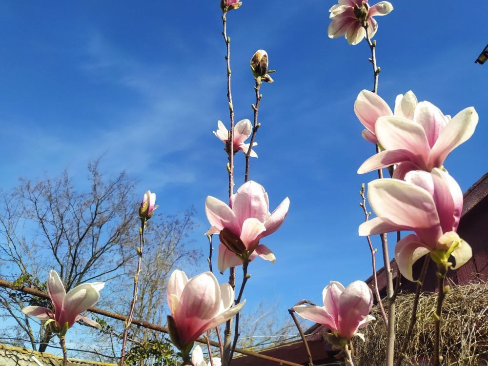 �������� �����, ���������� ����� � ������ ��������