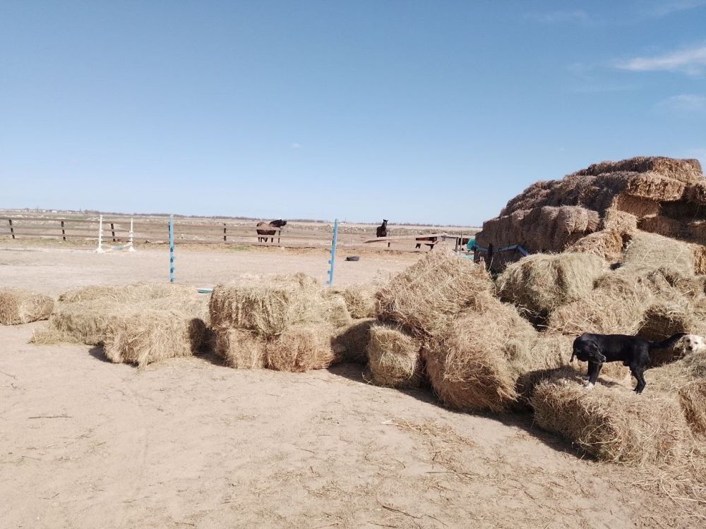 �������� ����� ��������� � ������