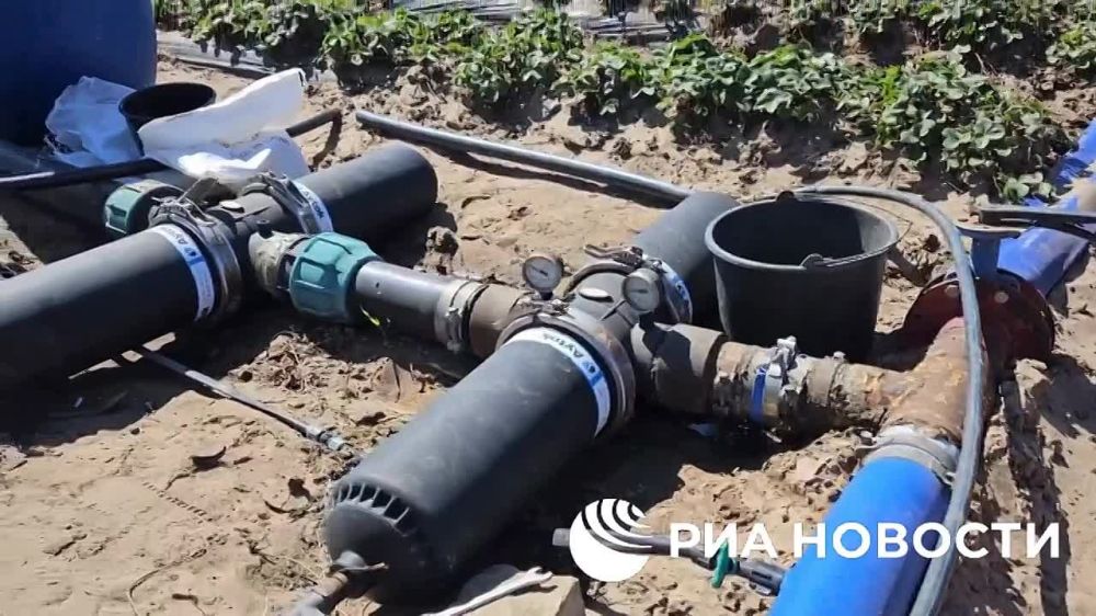 � ������������� ��������� ������ �������� ������ �� �����