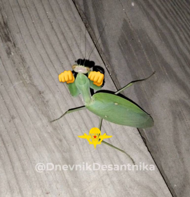 ������, ������� � �������� �� ���������� ����������� �������� ������