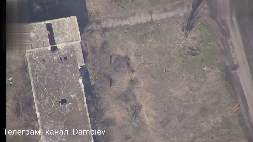 �������� � ����������� ����������� �����������