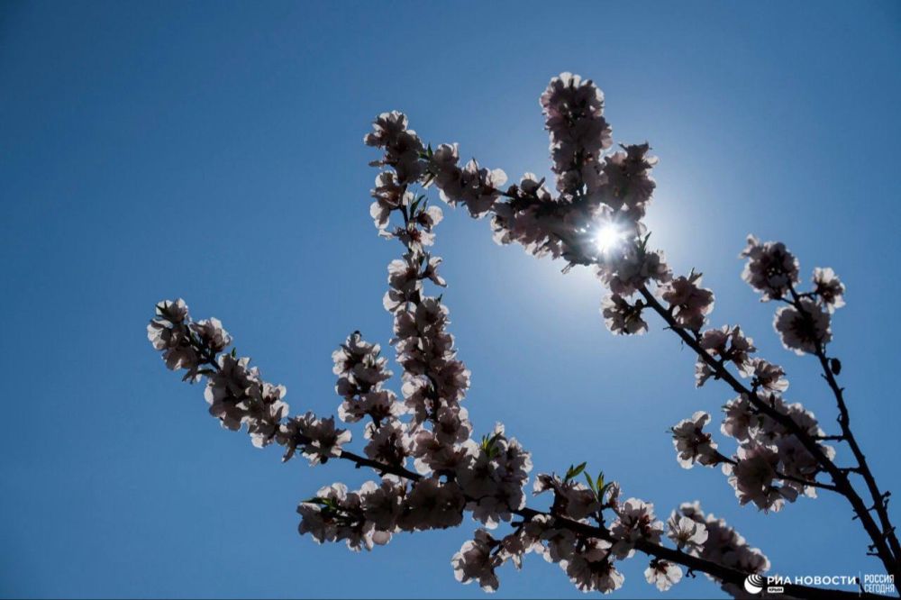 ������ �� ����� ����������� ������