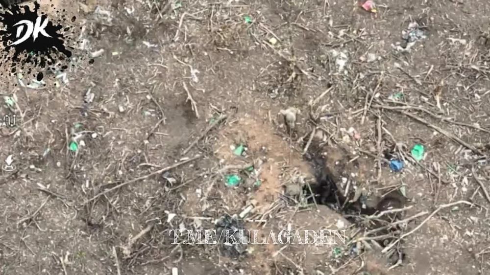 ������ �������� �������� ��� � ���������� � ��� ����� ����� ���� � ���������� �������