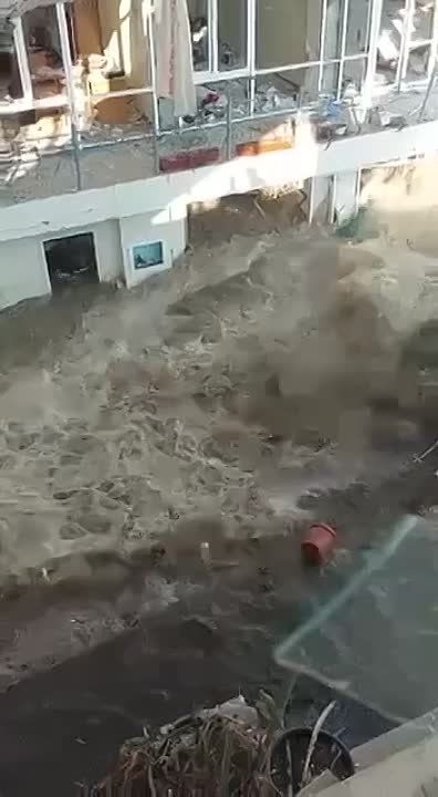 ���������� �����������. ��������� ���