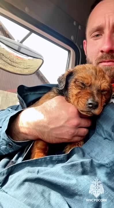 ������ �� ��� ������� ���������� � �����