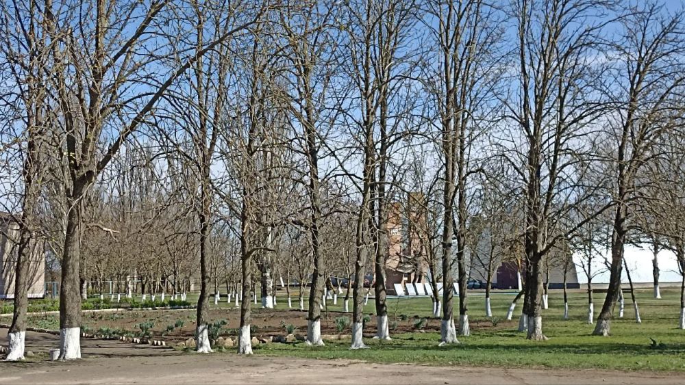 "��� ����� �� ������, ��� ����� �����!!! "