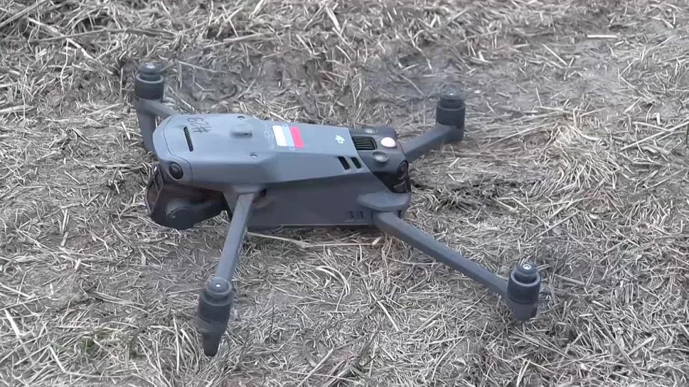 �������� ������: ������ ����������� ����������� ��������� ���������� ������� ������ ������������� ����� �� ������� ����������� ����� ������ ������ � ��������� ����� ���������� �� ������