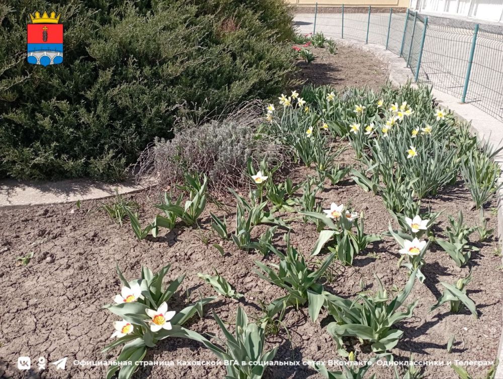 ������ ����, �������!. @VGA_Kakhovka