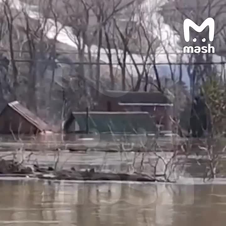 �������� � ����� � ���� ������