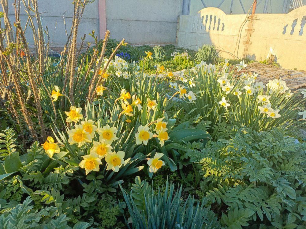 ����������� ����� ����� � ����������� �������������