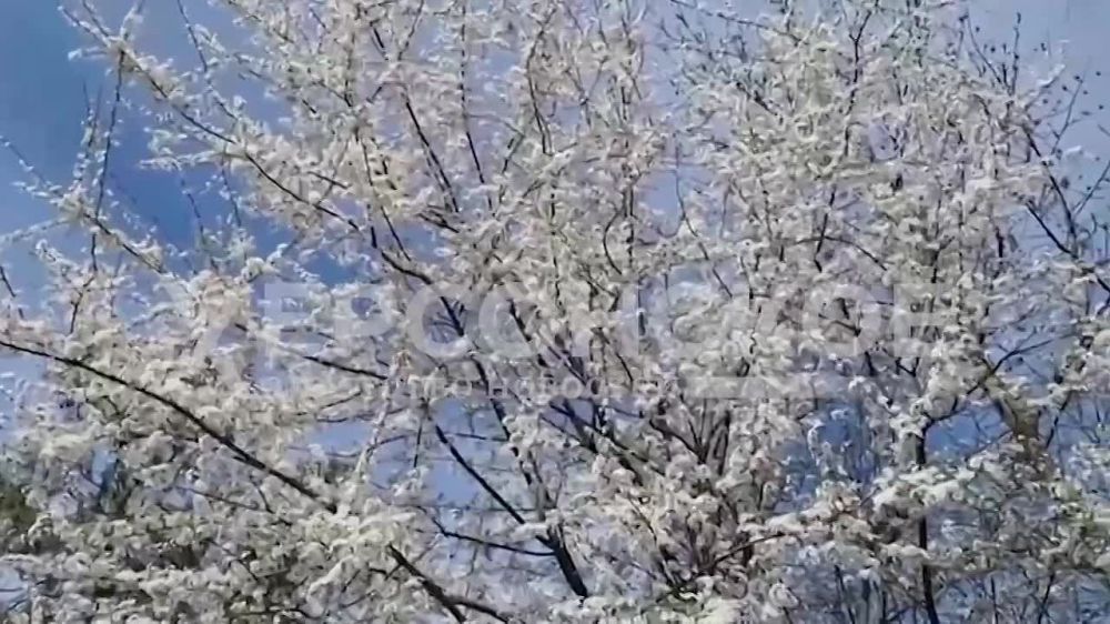 ����� ������ ������������ ��������� ���� � ��������� �������, ���������� ������ � ���������� �������