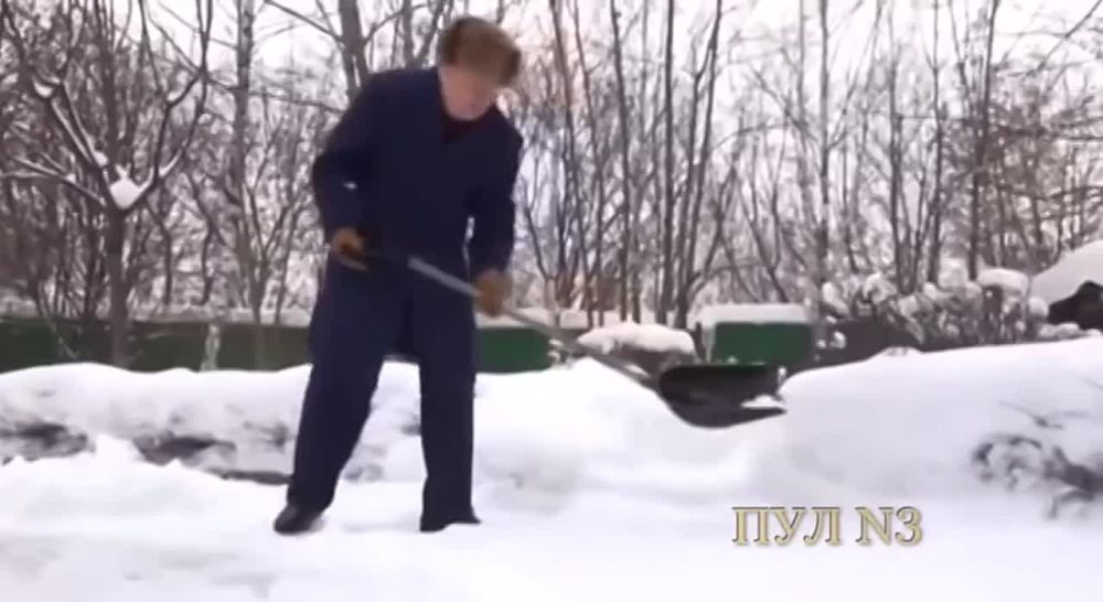 ��� ���� ����� ���� �������� �����������