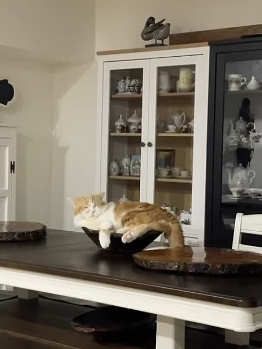 � ���� ��������, � ��� ������� �������� ��������� �������