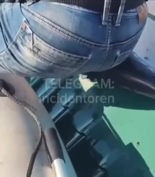 � ���������� ����� ������� ��������