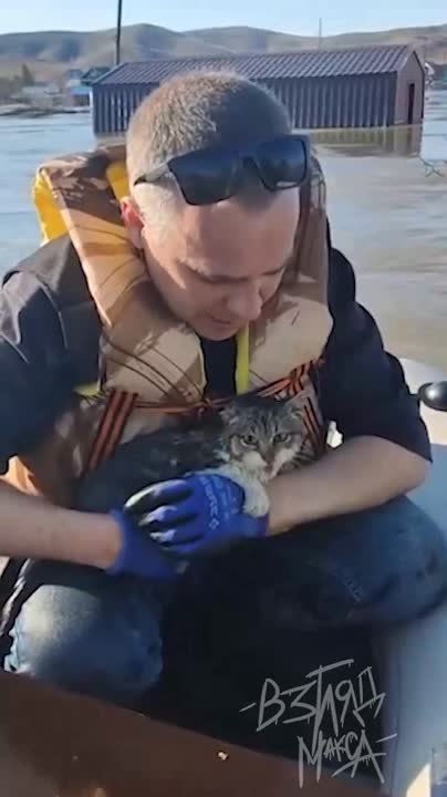 ���������� ������������ �������