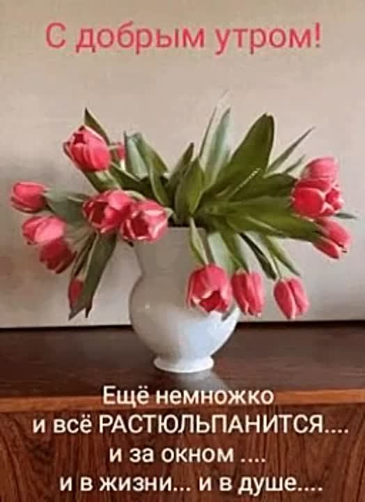 ������ ����. ������� � ������� �������� ������ ������ ��������, � ������� � �������� ��� ����� ��������� ����� ������. ��� �������. ����������� �� +8 ����� �� +21 ���