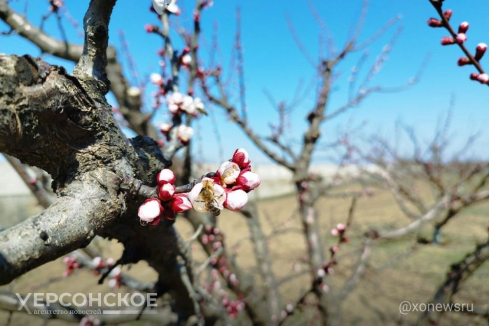 ����� � ���������� ������� � ����� �������, � ������ ������ �� ��������� ��� ������ �� ������� �� ��������� ����