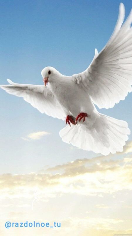 ����� � ������� �������� ������������ ��������� ����� ������� ������ �������, �������� ��� ������ � ��������, ������� � �����, ������������� ������� ������� � ����������� �������� �������