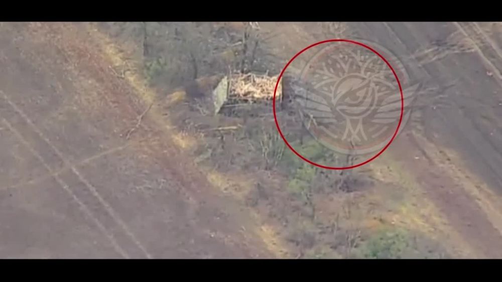 ����� ����� ����������� ����� ���������� � ���������� ��������-�������������� ����� ���������� � ����� �����