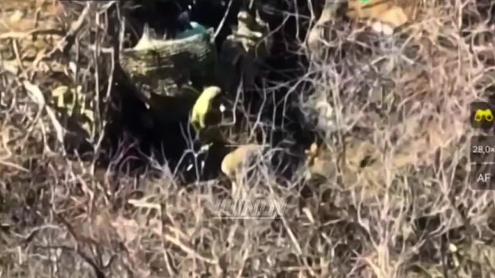 �� ����������� ����������� ���������� 29 ����� ���������� ���������� ������ ���