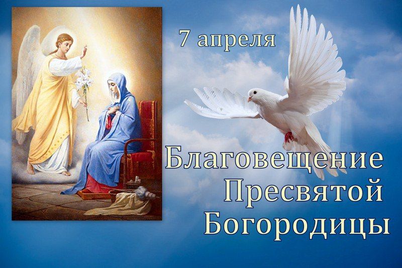 �������, 7 ������ ���� ������������ ��� �������� ������������ ��������� ����������