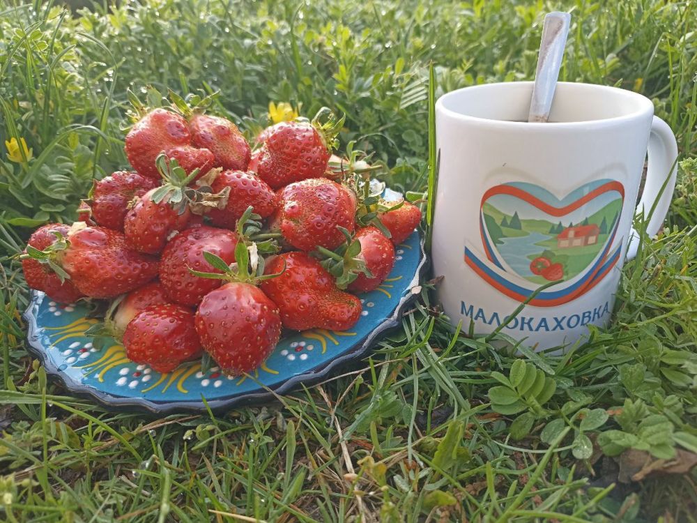 � ������ �����, �����������!