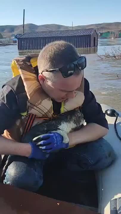 �� ����� ������� ���� � ���� ���� � ��������� �������� �� 28 �����������, �������� � �������������