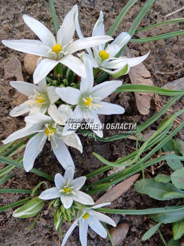 ��� ����� ����� � ���������� ������� � ���� ���������� �������� ���������� ������