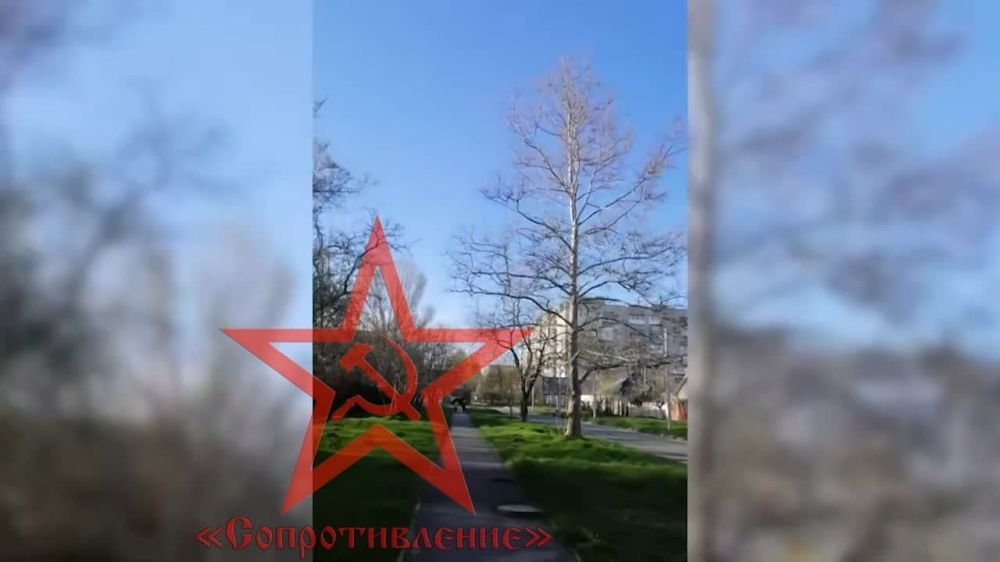 ����������� �������� ������� ���������� �������� ������� �� �������� ����������� ������