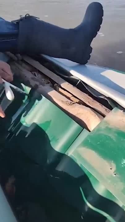 "������ ��� ��� �����": ���� ������ �������� ��� ������ ������������ ���� �������� ���� ����� � ������ ����������� ������������ �������