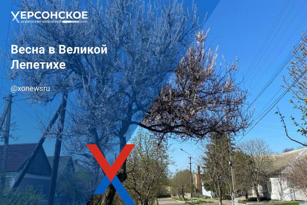 ����� � ������� ��������